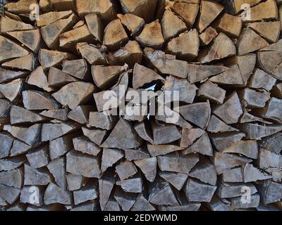 Vista ravvicinata del palo di legno accatastato con tronchi tritati con motivi in legno e anelli d'età visibili in una foresta nell'Alb Svevo, Germania. Concentrarsi sul centro. Foto Stock