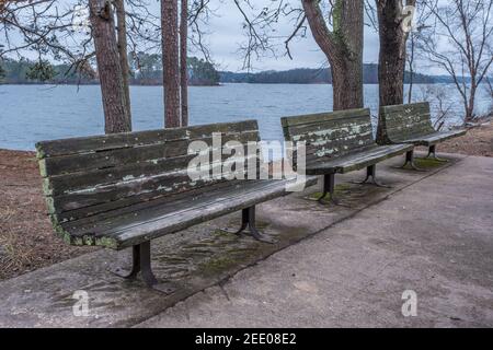 Tre panchine in fila per la visione e il riposo al lago dalla costa lungo il sentiero circondato da alberi in un giorno nuvoloso in inverno Foto Stock