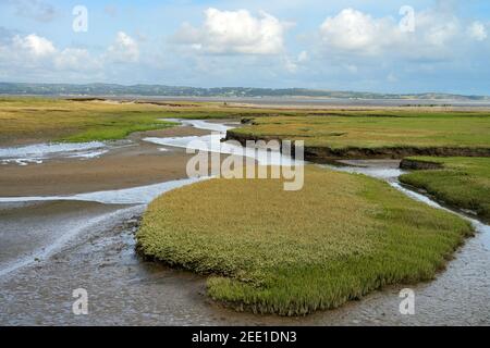 Il salmarsh nella riserva naturale locale di Glan Y Mor Elias, vicino a Llanfairfechan, nel Galles del Nord, è un magnete per gli uccelli marini. Foto Stock