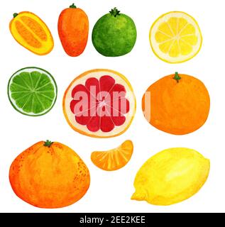 Grande set di acquerelli agli agrumi. Limone, mandarino, lime, pompelmo e kumquat Foto Stock
