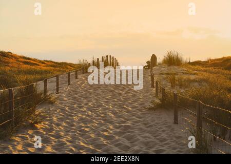 percorso in legno a piedi per la spiaggia sabbiosa al tramonto Foto Stock