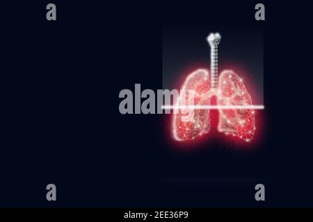 Polmoni su sfondo scuro. Composizione a reticolo poligonale. Le particelle sono collegate con una silhouette gologramma geometrica su sfondo blu scuro Foto Stock