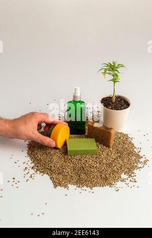 Semi di marijuana semi di canapa verde naturale piccolo germoglio di  germogli, semi di cannabis su sfondo di suolo, primo piano di piantare semi  di canapa agricoltura erbe medic Foto stock 