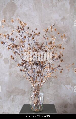 bouquet di fiori selvatici secchi sullo sfondo di a. muro di cemento Foto Stock