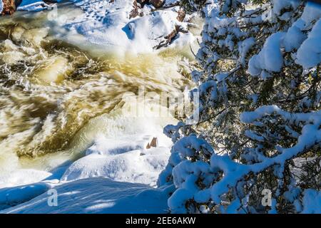 Marble Rapids Eels Creek Apsley Ontario Canada in inverno Foto Stock