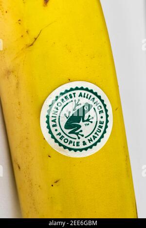 Adesivo su una banana: 'Rainforest Alliance, People & Nature' con il logo della rana, un'organizzazione non governativa per la conservazione e la sostenibilità Foto Stock