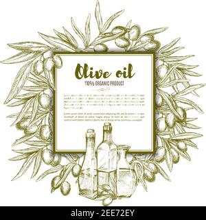 Olio d'oliva manifesto di disegno vettoriale rami di olivo e frutti di olive verdi o nere, bottiglie di olio extra vergine, caraffe di vetro o caraffe. Design del telaio Illustrazione Vettoriale