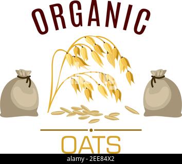 Icona vettore OATS. Semi di cereali erba pianta di avena orecchio con foglie e farina o sacchi di grano. Design per alimenti dietetici, porridge o farinata d'avena Illustrazione Vettoriale