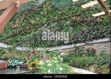 LONDRA, UK - 25 MAGGIO 2013: Una parete verde fatta di heuchera, fragola, geranio, felci e erbe ornamentali, sottopiantata con rose inglesi Foto Stock