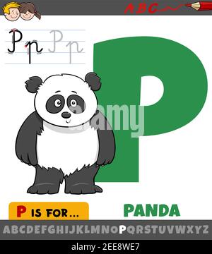 Cartoon educativo illustrazione della lettera P da alfabeto con panda carattere animale per bambini Illustrazione Vettoriale