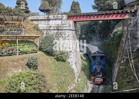 La vecchia locomotiva a vapore trasporta un treno intorno al circuito di Batasia tra Ghum (Ghoom) e Darjeeling sulla Darjeeling Himalayan Railway, India. Il vapore Foto Stock