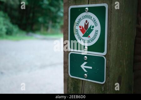 North Vancouver, Canada - 11 Giugno 2020: Vista del segno Trans Canada Trail nel Parco Regionale del Fiume Capilano Foto Stock