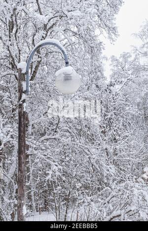 Lanterna nel parco. Inverno, paesaggio innevato. Foto di alta qualità Foto Stock