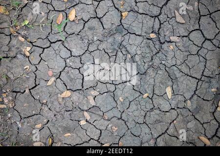 Terreno incrinato con foglia d'autunno. Grugnosa terra arida foto texture. Vista dall'alto della zona di siccità. Superficie del pavimento incrinata grigia. Problema ecologico. Estate caldo mare Foto Stock