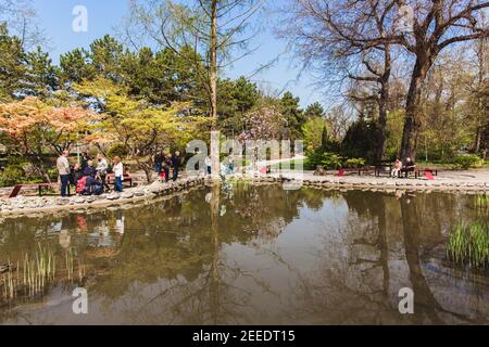 BUDAPEST, UNGHERIA - 04 APRILE 2019: Bella giornata di sole primavera nel giardino giapponese dell'isola di Margeret a Budapest, Ungheria Foto Stock