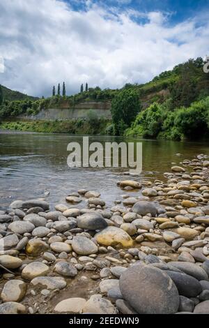 Fiume Wanganui a Gerusalemme, Isola del Nord, Nuova Zelanda Foto Stock