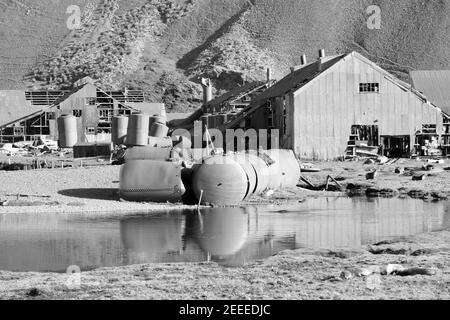 Stazione delle balene di Stromnes nell'Isola della Georgia del Sud Foto Stock
