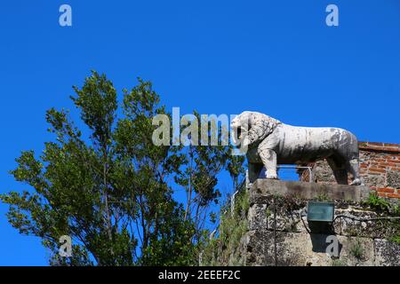 Leone di marmo di Pisa, Italia Foto Stock