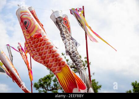 Aquilone di pesce giapponese su sfondo cielo. Koi o koinobori kite in aria. Decorazioni tradizionali del festival orientale. Calza a vento in cielo nuvoloso. Giappone viaggi pho Foto Stock