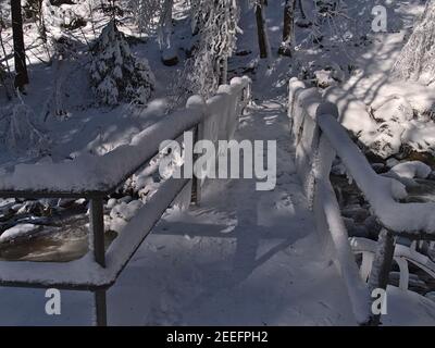 Ponte ghiacciato e coperto di neve sul sentiero escursionistico che conduce sopra il torrente di montagna in una foresta a Todtnauer Wasserfälle vicino Todtnau, Germania nella Foresta Nera. Foto Stock