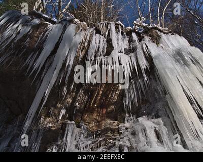 Vista ad angolo basso di uno sbalzo roccioso su un pendio ripido con molte grandi ghiaccioli ghiacciati appesi in giù durante la fredda giornata invernale a Todtnauer Wasserfälle vicino Todtnau. Foto Stock