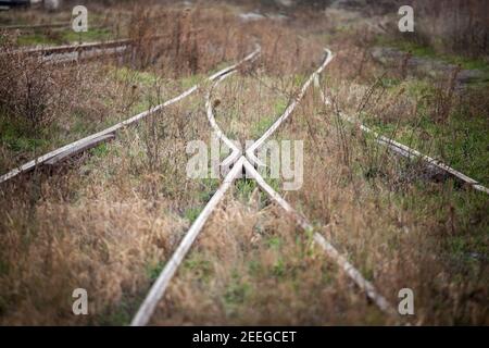 Prospettiva di vecchio e arrugginito switch rail su un abbandonato linea ferroviaria con la sua tipica pista metallica ricoperta di erba e vegetali a causa della mancanza di noi Foto Stock