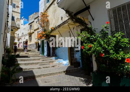 Strada colorata a Tangeri, Marocco Foto Stock