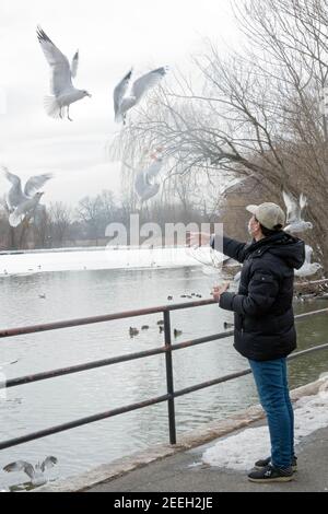 Un uomo americano asiatico alimenta il pane ai gabbiani in un parco a Flushing, Queens, New York City. Foto Stock