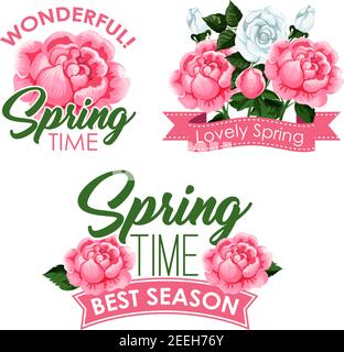 Citazioni di saluto primavera stagione con rose bouquet e fiori wreath design. Fioritura rosa e bianco rose in fiore e fioriture grappoli con costolette Illustrazione Vettoriale