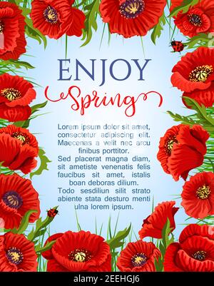 Poster vettore primavera con cornice di fiori di papavero in fiore wreath. Primavera fiorisce natura disegno di fiori rossi bouquet, fiori e farfalle f Illustrazione Vettoriale