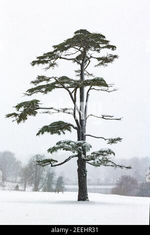 Castello di Leeds nella neve Foto Stock