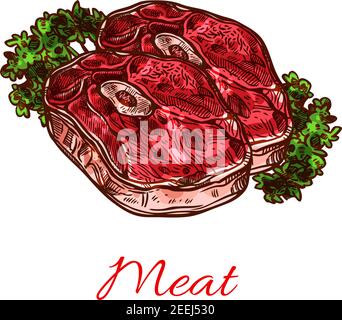 Bistecca di carne, schizzo di cibo fresco. Stinco di manzo, bistecca di agnello o arrosto di spalla di maiale con osso, servito con verdure simbolo isolato per macelleria, Illustrazione Vettoriale