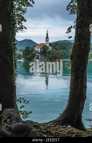 Lago di Bled Foto Stock