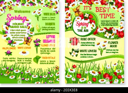 Poster vettoriali Grand Spring sale per offerta di sconti primaverili su bouquet di fiori. Disegno floreale e fiorente della natura di papavero e daisy o camomilla Illustrazione Vettoriale