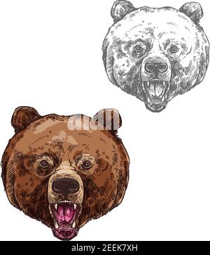 Orso con schizzo isolato a bocca aperta. Testa di orso bruno ruggito, animale mammifero predatore grizzly selvaggio icona per mascotte, simbolo del club cacciatore, fauna selvatica A. Illustrazione Vettoriale