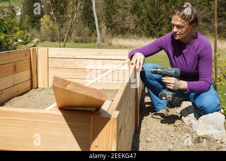 Donna che svita il telaio in legno per un letto da giardino rialzato. Concetto DIY. Donna potente. Foto Stock