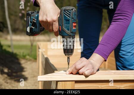 Donna che si avvita un telaio di legno con un trapano elettrico. Concetto DIY. Donna potente. Foto Stock