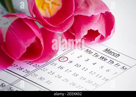 La data dell'8 marzo è indicata sul calendario. Promemoria della Giornata internazionale della donna. Tulipani rosa. Foto Stock