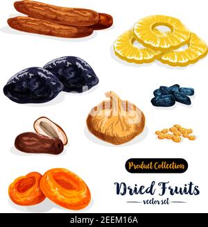Set di icone cartoni animati di frutta secca. Uva passa, dattero, albicocca, prugna secca, fico, ananas, banana e frutta di damson segno isolato per dolci naturali sani e snac Illustrazione Vettoriale