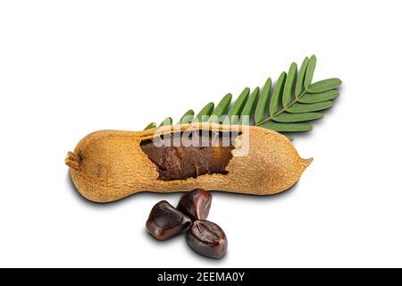 Tamarind con foglie e semi isolati su sfondo bianco con tracciato di ritaglio. Foto Stock