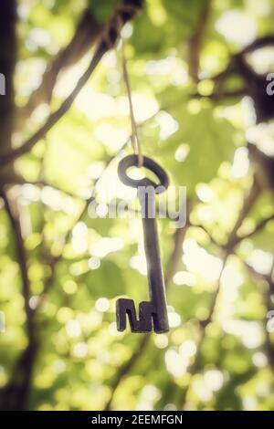 Antica chiave in ferro battuto appesa con corda da un ramo di albero. Foto Stock