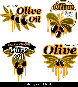 Olio d'oliva e olive icone per la cottura dell'olio d'oliva. Gruppo isolato vettoriale di rami neri e verdi con gocce di olio extra vergine organico per bott Illustrazione Vettoriale