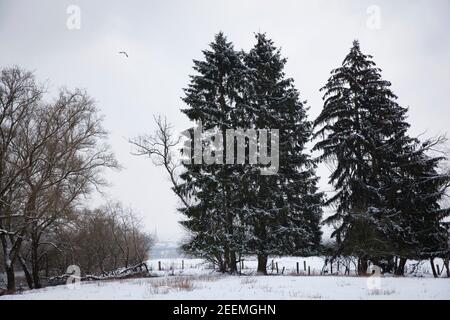 Il fiume Ruhr prati vicino Wetter, inverno, neve, Ruhr Area, Nord Reno-Westfalia, Germania. Die Ruhrauen bei Wetter, Inverno, Schnee, Ruhrgebiet, No Foto Stock