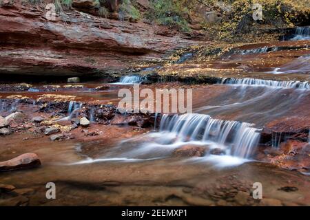 Cascate e terrazze lungo la biforcazione sinistra di North Creek nella sezione Subway a Zion National Park, Utah Foto Stock