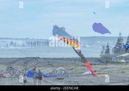 Esposizione multipla di Otaki Kite Festival Foto Stock