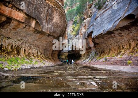 Fotografi all'ingresso del Subway, un tunnel unico scavato dalla biforcazione sinistra di North Creek nel Parco Nazionale di Zion, Utah Foto Stock