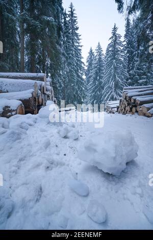 Mucchi di legname tagliato che si trovano sulla strada attraverso la foresta invernale congelata. Inverno freddo in boschi di montagna. Grande masso di ghiaccio in primo piano. Foto Stock