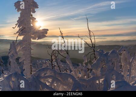 Mattina presto in montagna in una fredda giornata invernale. Il sole sorge sopra l'orizzonte lontano. Gli alberi sono coperti di ghiaccio e neve. Foto Stock