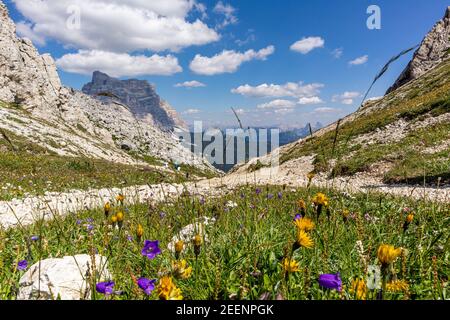 Le Dolomiti. Dalle escursioni a piedi e in bicicletta alle arrampicate in montagna, al parapendio e al deltaplano è impossibile annoiarsi. Foto Stock