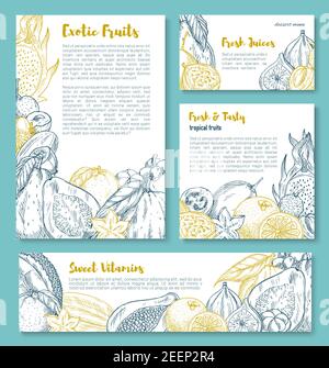 Poster o modelli di banner di frutti esotici. Insieme vettoriale di papaia tropicale, lychee o fichi biologici di fattoria e durian, pitahaya dragonfruit o pass Illustrazione Vettoriale